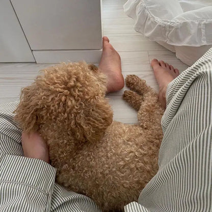 LEIH™ WOMEN'S 2-PIECE PYJAMA SET: STRIPED LONG SLEEVE TOP AND TROUSERS